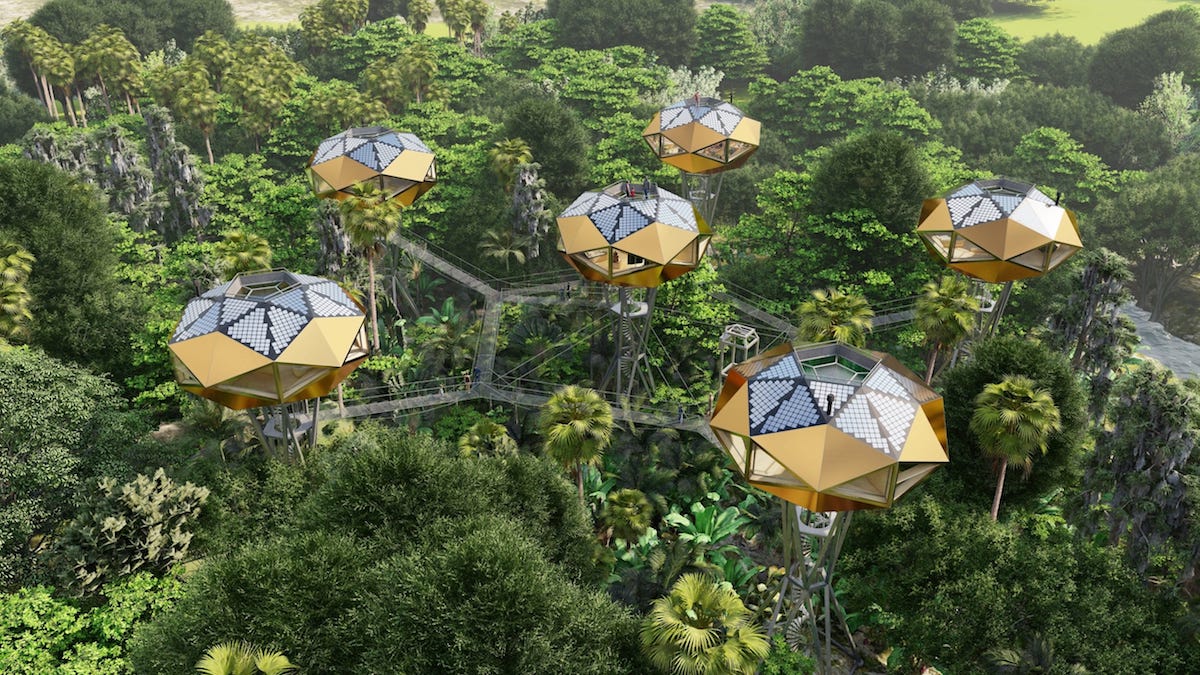 Eco-village of the tree-houses, alternative tourism proposal